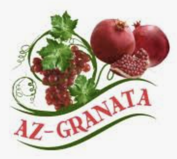 AZGRANATA MMC-də LOGO ERP və İstehsal Avtomatlaşdırılması Layihəsi